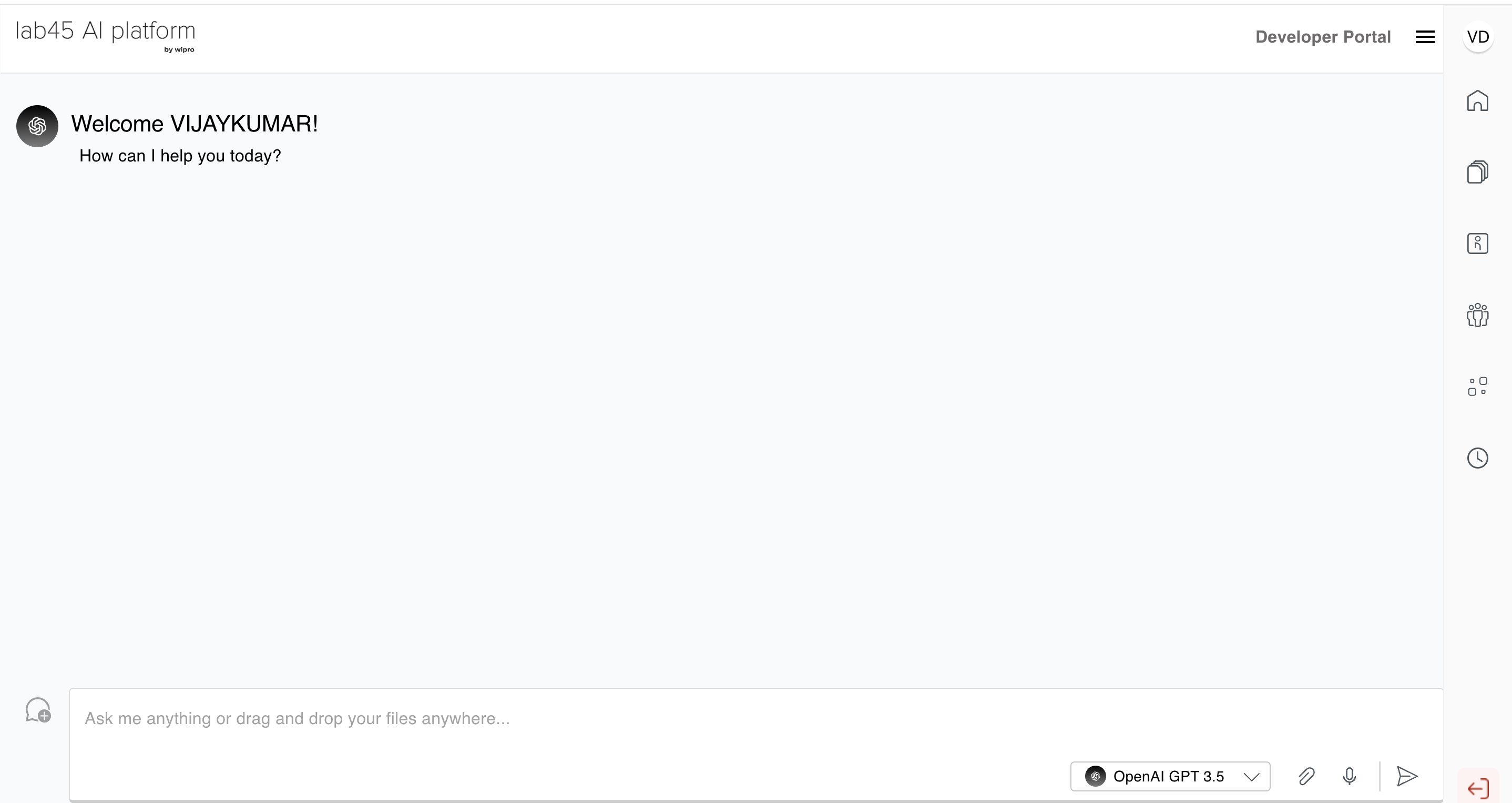 Screenshot of the Chat Interface